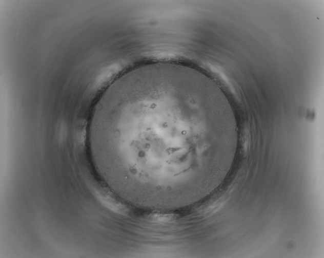 X0000092030495200709061617
