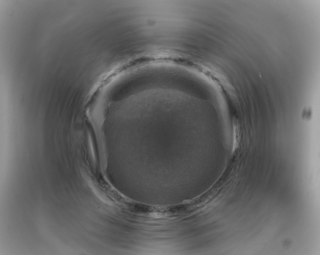 X0000092030496200709061617