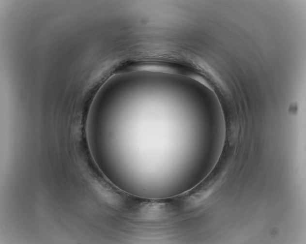 X0000092030497200709061617