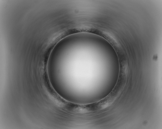 X0000092030498200709061617