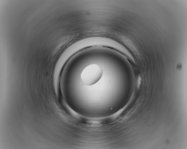 X0000092030501200709061617