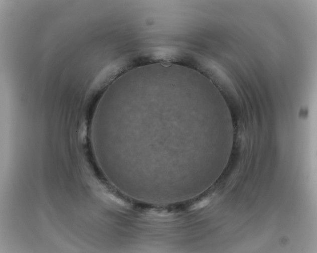 X0000092030502200709061617