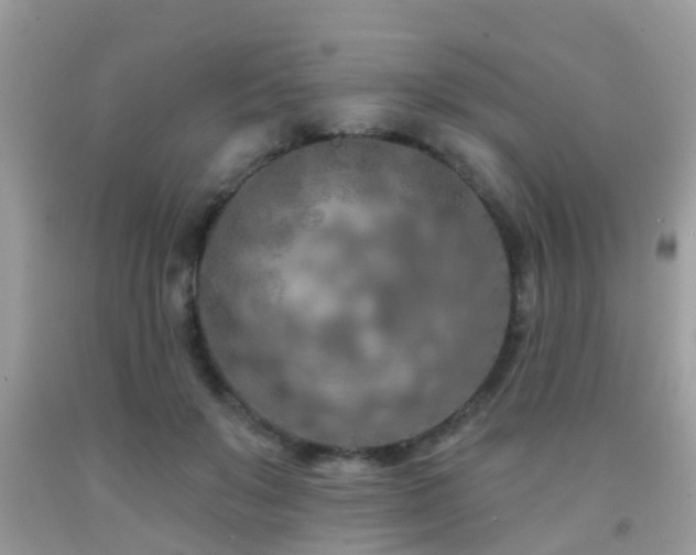 X0000092030503200709061617