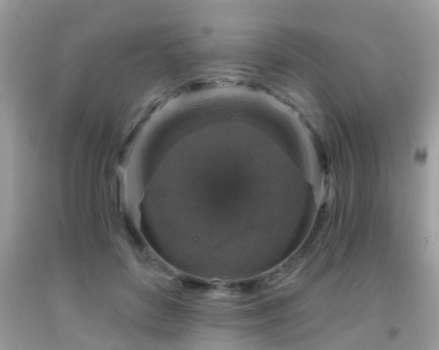 X0000092030504200709061617