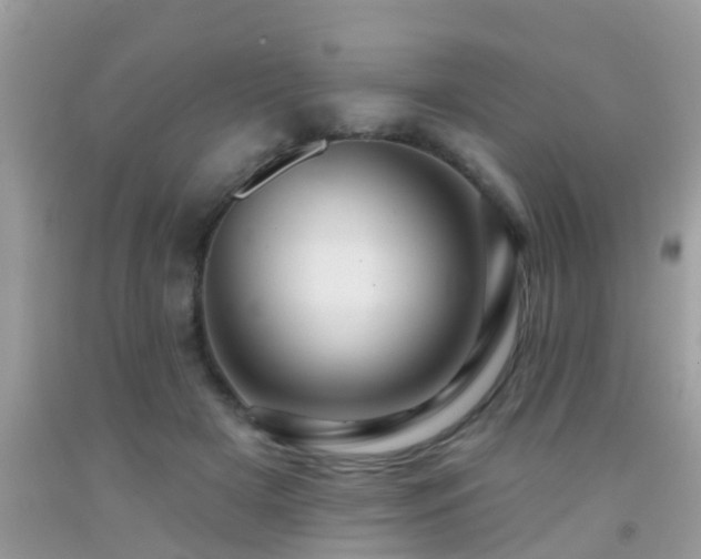 X0000092030505200709061617