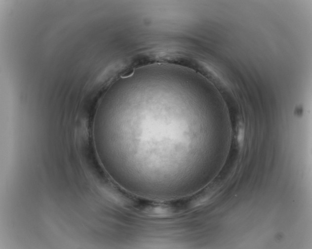 X0000092030506200709061617