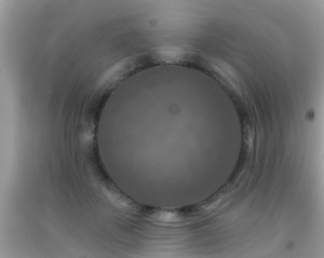 X0000092030507200709061617