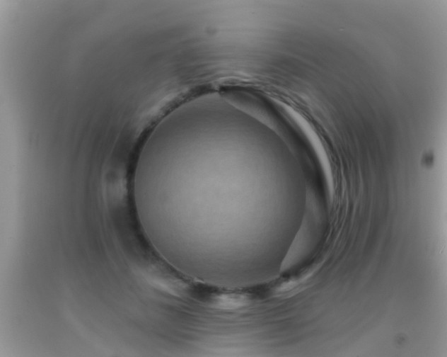 X0000092030508200709061617