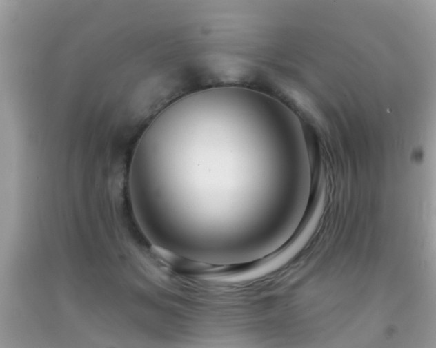 X0000092030509200709061617