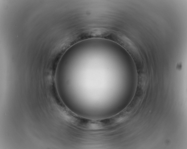 X0000092030510200709061617