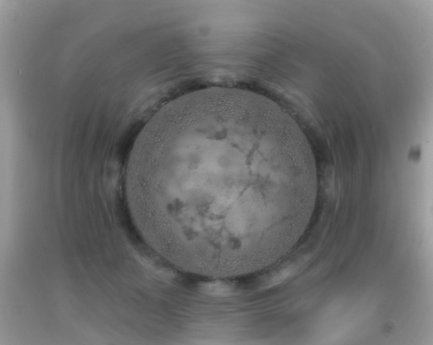 X0000092030511200709061617