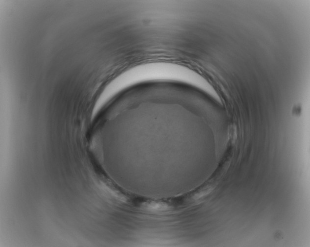 X0000092030512200709061617