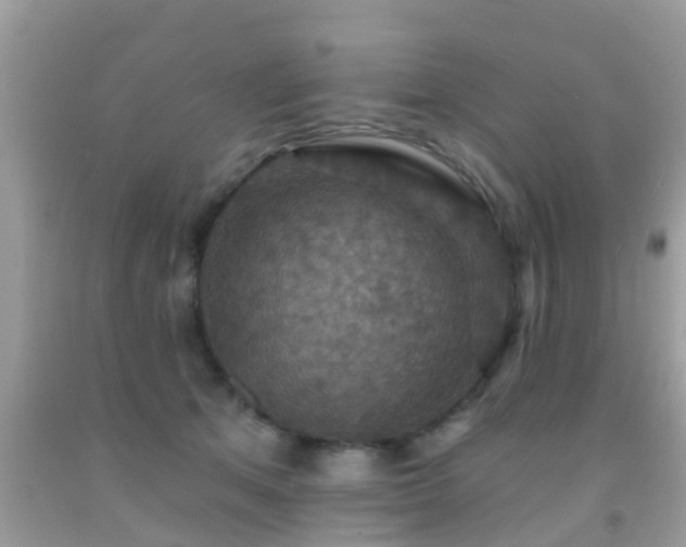 X0000092030513200709061617
