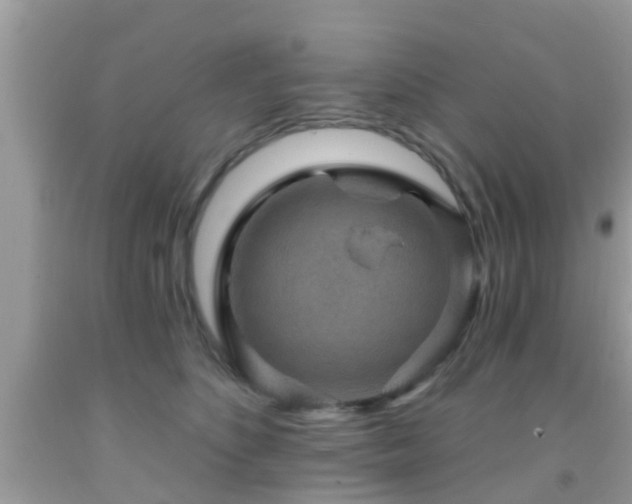 X0000092030516200709061617