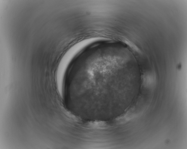 X0000092030517200709061617