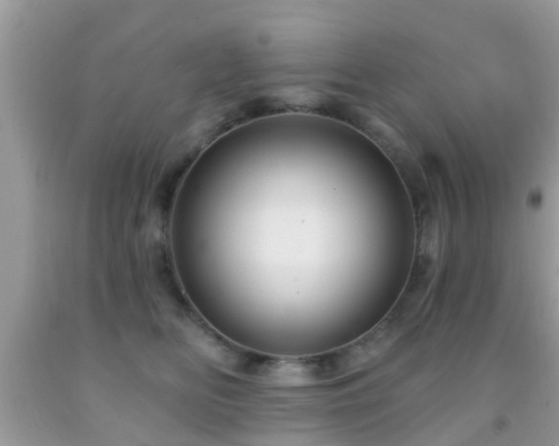 X0000092030518200709061617