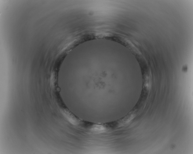 X0000092030519200709061617
