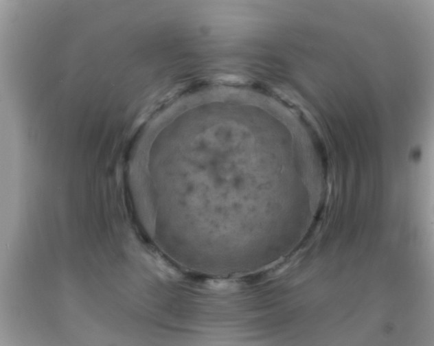 X0000092030520200709061617