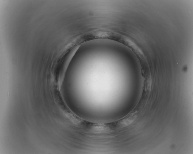 X0000092030521200709061617