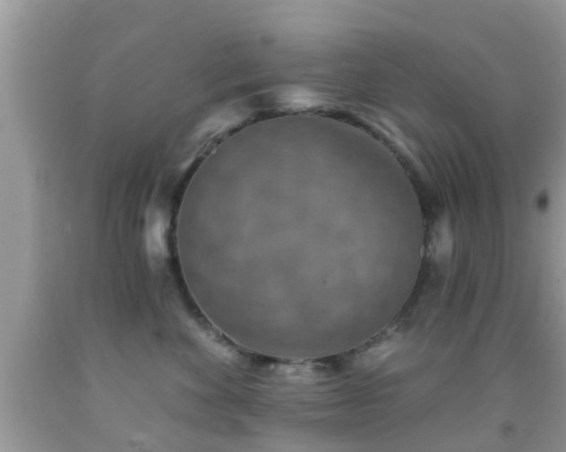 X0000092030524200709061617