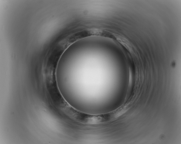 X0000092030525200709061617