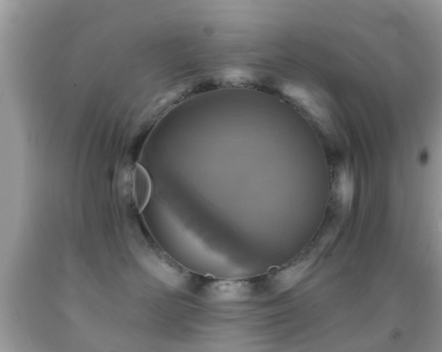 X0000092030526200709061617