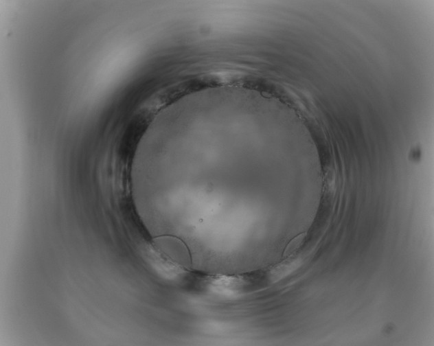 X0000092030527200709061617