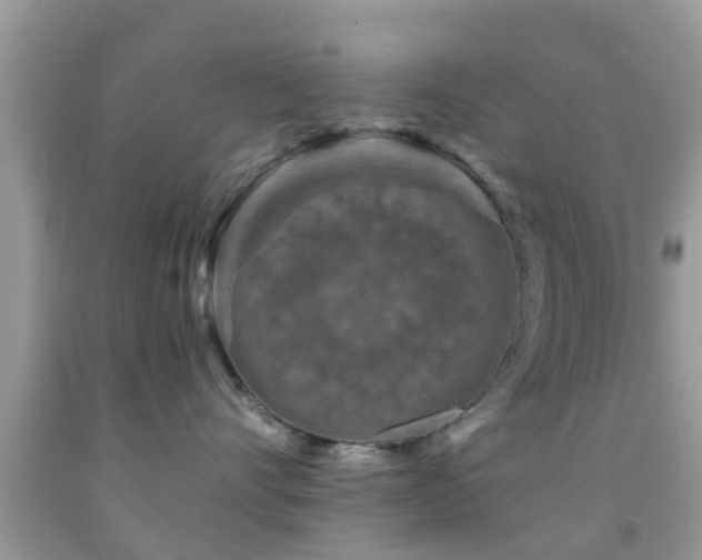 X0000092030528200709061617