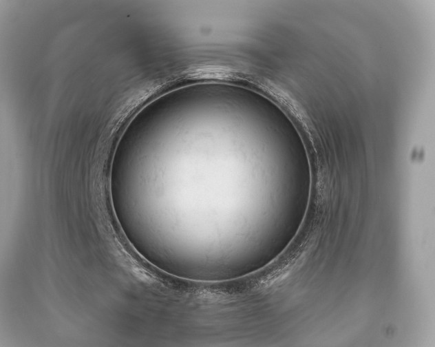 X0000092030529200709061616