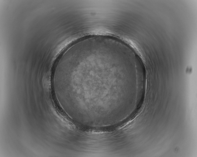 X0000092030531200709061616