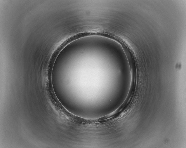 X0000092030532200709061616