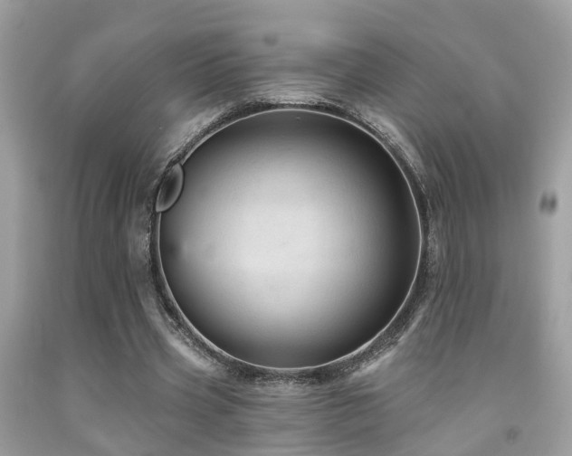 X0000092030533200709061616