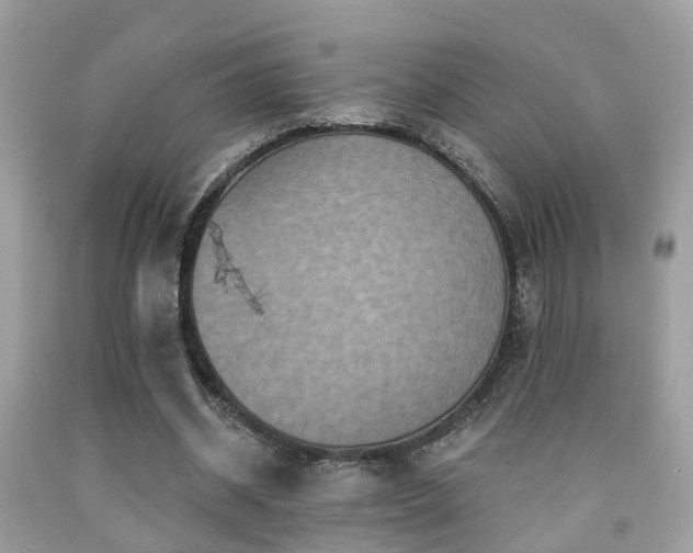 X0000092030534200709061616