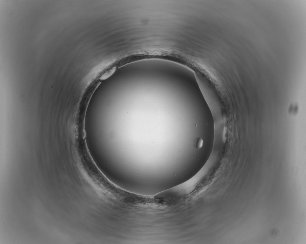 X0000092030536200709061617