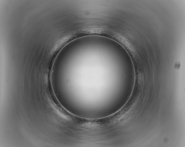 X0000092030537200709061617