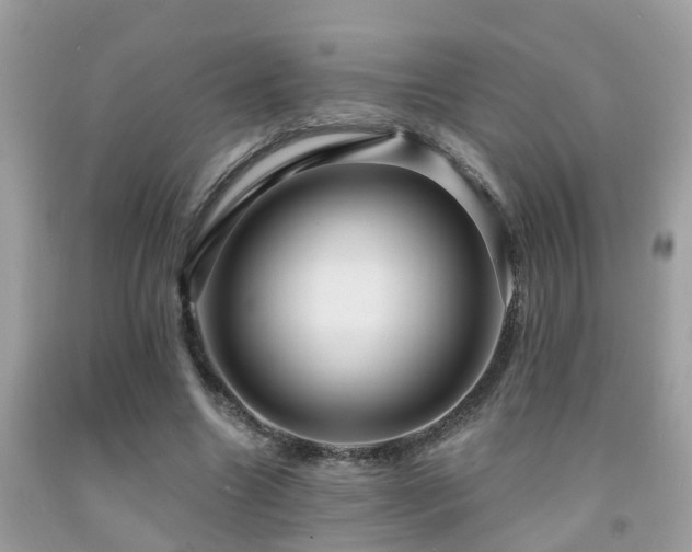X0000092030538200709061617