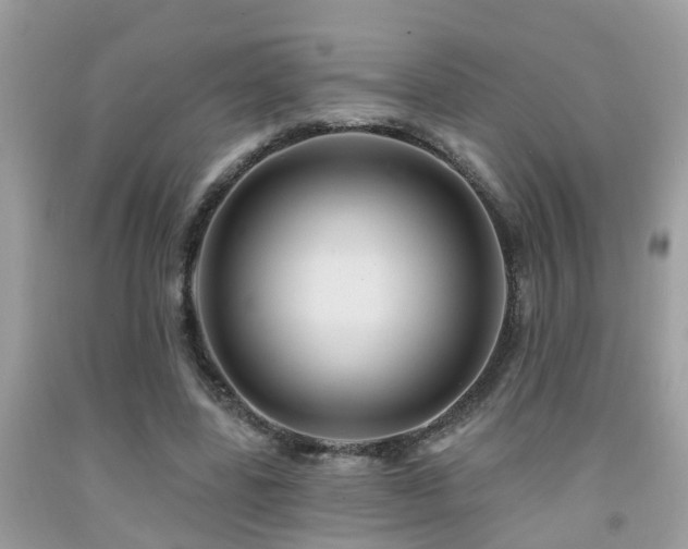 X0000092030539200709061617