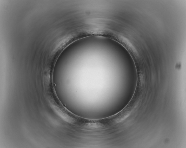 X0000092030541200709061617