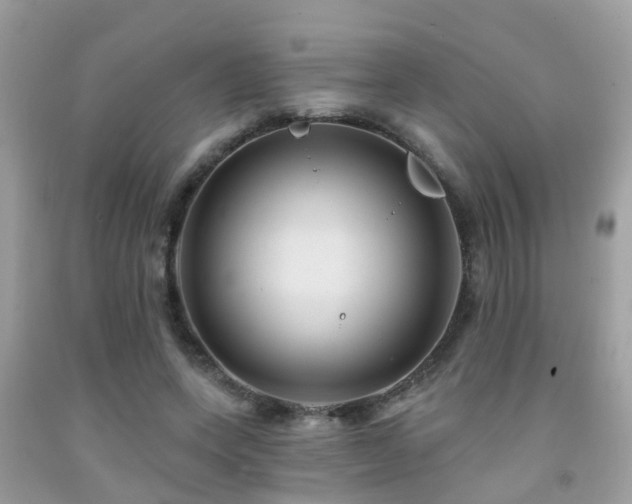 X0000092030543200709061617