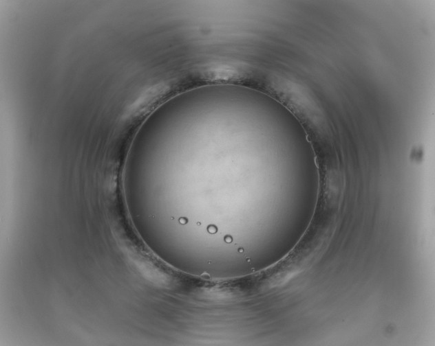 X0000092030545200709061617