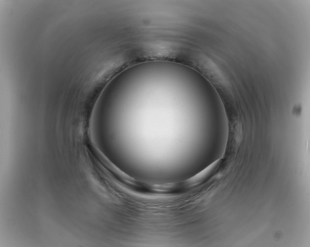 X0000092030546200709061617