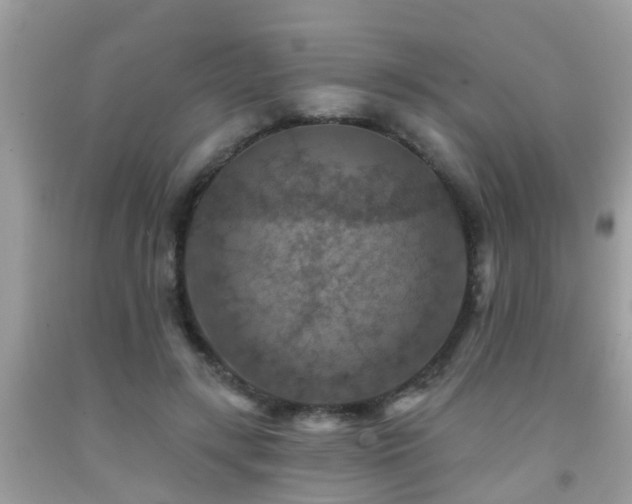 X0000092030547200709061617
