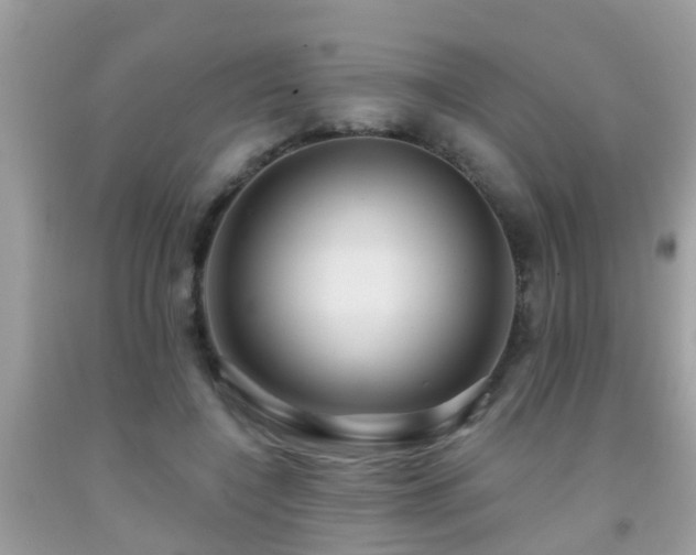 X0000092030548200709061617