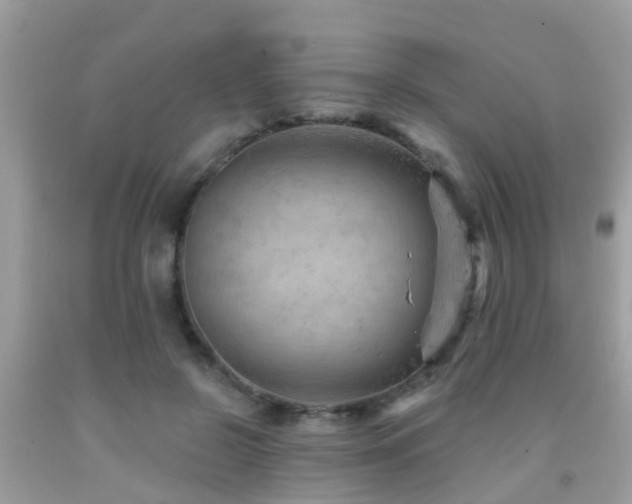 X0000092030550200709061617