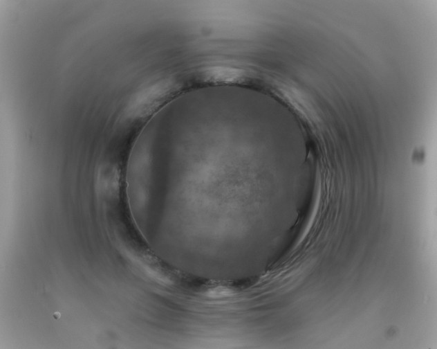 X0000092030551200709061617