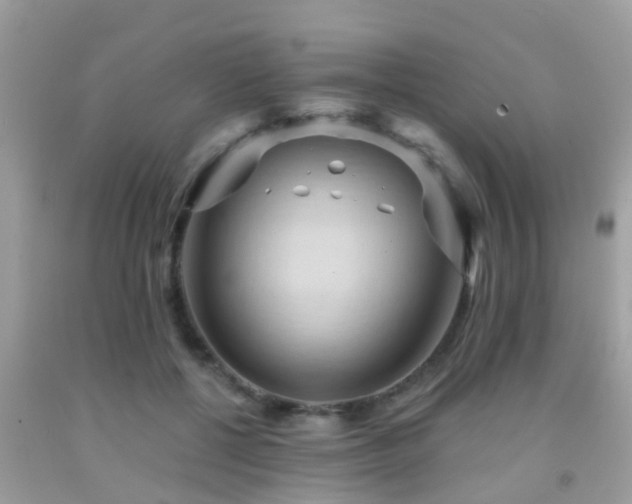 X0000092030552200709061617