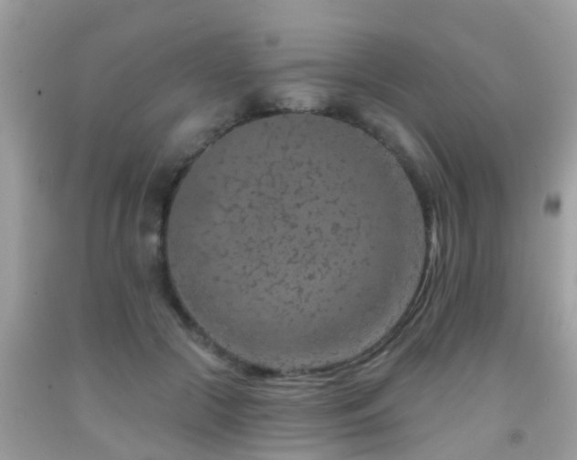 X0000092030553200709061617