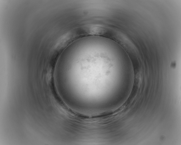 X0000092030554200709061617