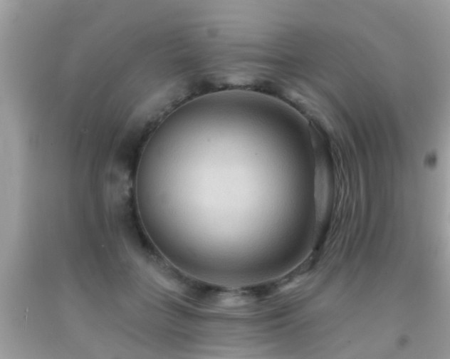 X0000092030555200709061617