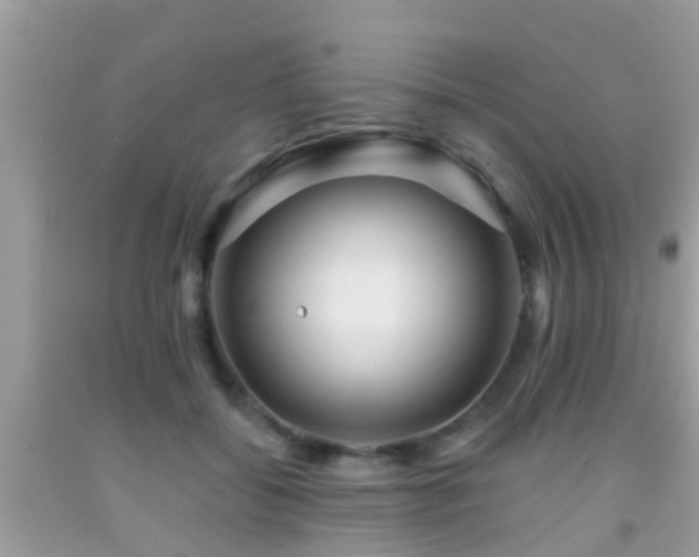 X0000092030556200709061617